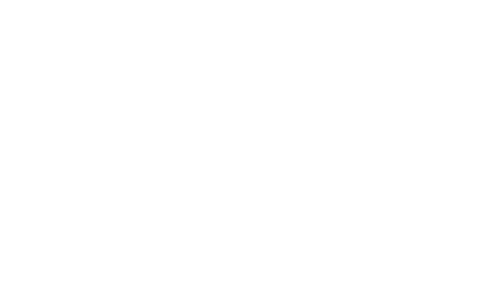 Newnan Auto Body & Glass logo with car outline