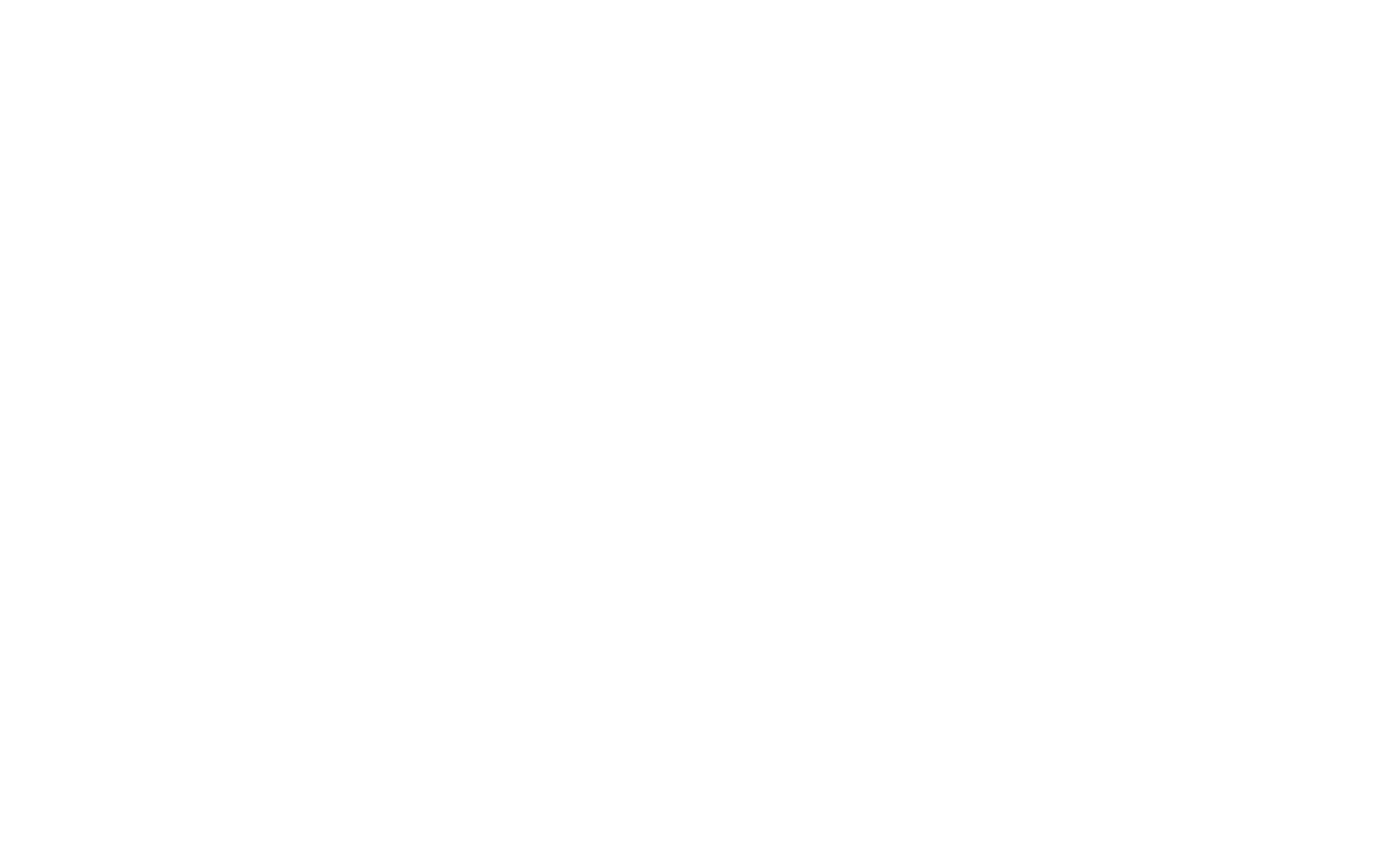 Newnan Auto Body & Glass logo with car outline